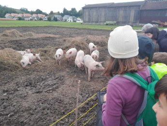 3. Klasse in den Thurauen